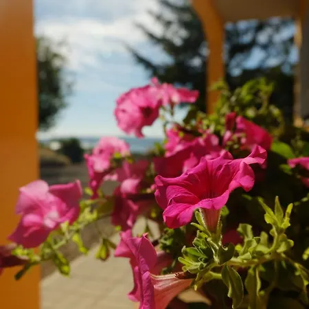 Venkovský dům Podere Ospedaletto *